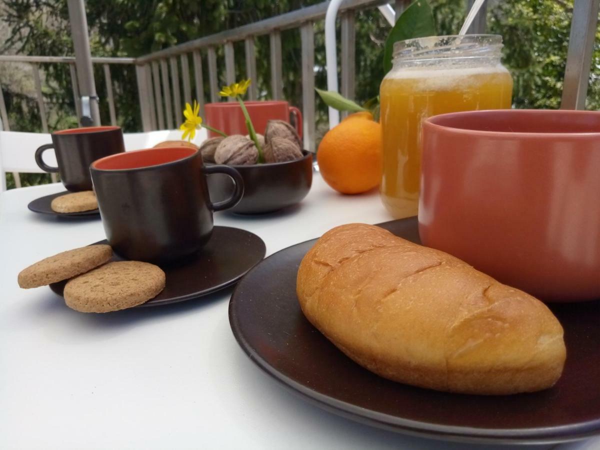 ラグーザ Casa Vacanze Irmino Gardenヴィラ エクステリア 写真