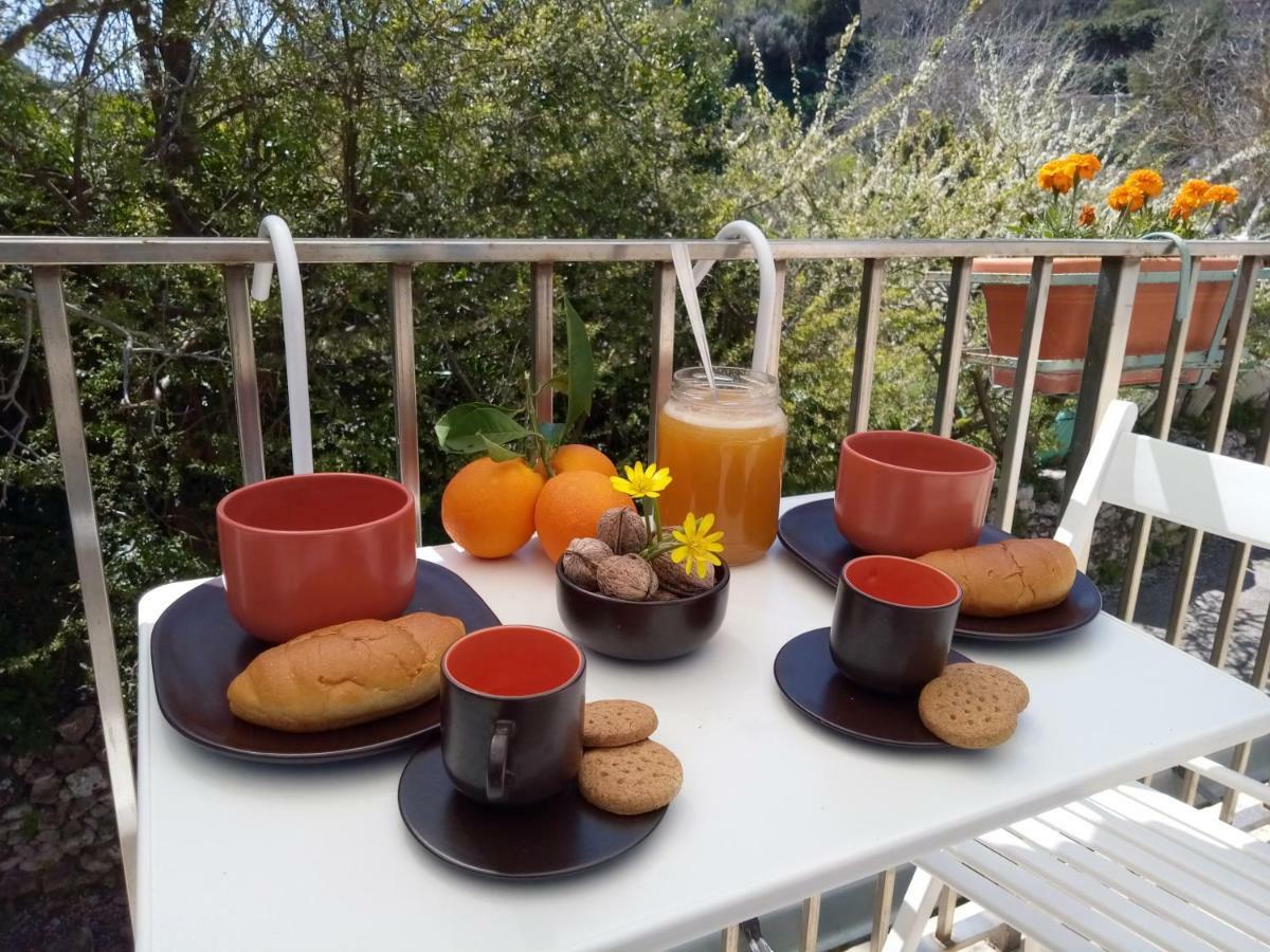 ラグーザ Casa Vacanze Irmino Gardenヴィラ エクステリア 写真